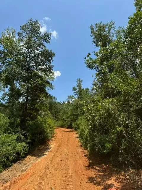 tbd Fred Bacot Rd, Summit, MS 39666 photo 12