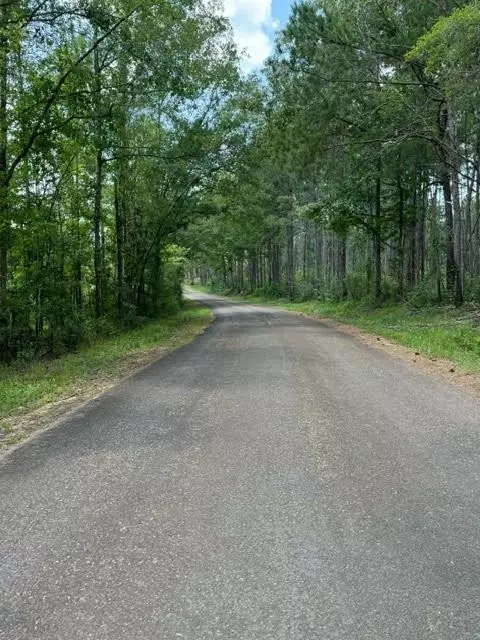 tbd Fred Bacot Rd, Summit, MS 39666 photo 16