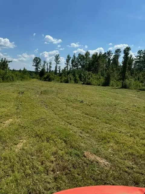 tbd Fred Bacot Rd, Summit, MS 39666 photo 5