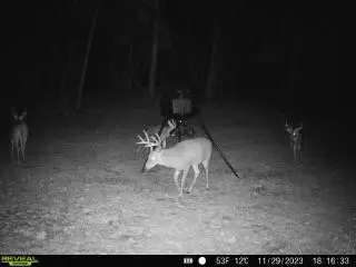 tbd Fred Bacot Rd, Summit, MS 39666 photo 23
