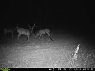 tbd Fred Bacot Rd, Summit, MS 39666 photo 21
