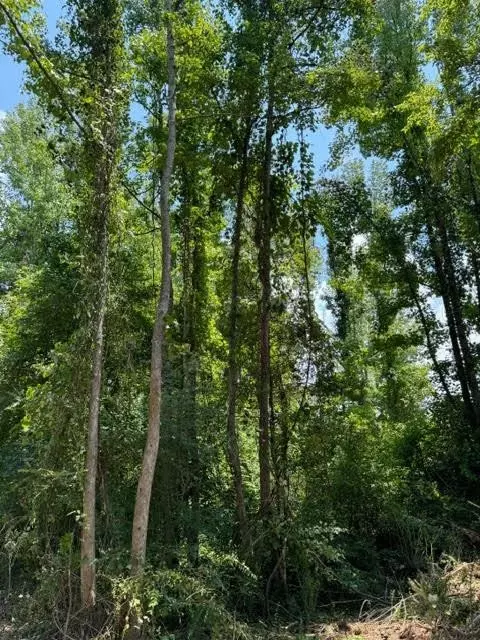 tbd Fred Bacot Rd, Summit, MS 39666 photo 13