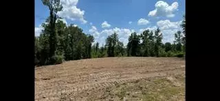 tbd Fred Bacot Rd, Summit, MS 39666 photo 8