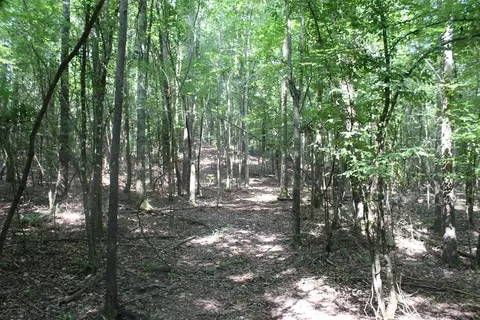 2786 Hopewell Rd NE, Brookhaven, MS 39601 photo 11