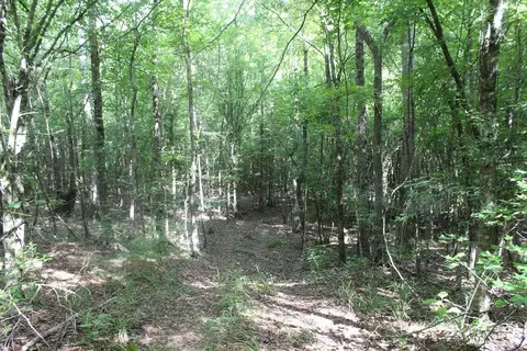 2786 Hopewell Rd NE, Brookhaven, MS 39601 photo 21