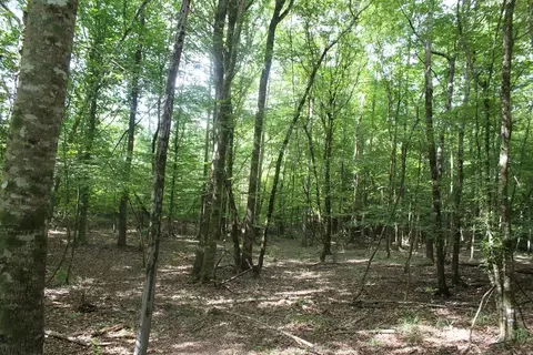 2786 Hopewell Rd NE, Brookhaven, MS 39601 photo 29