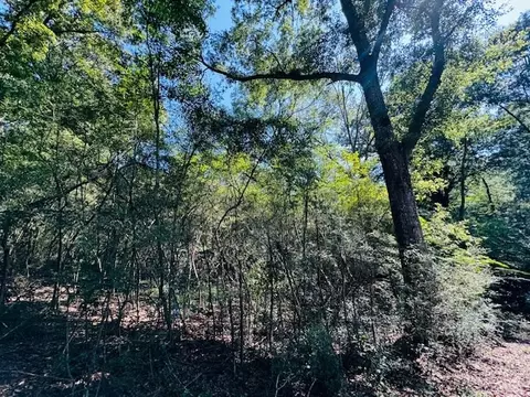 tbd Ryans Rd, Kokomo, MS 39643 photo 3