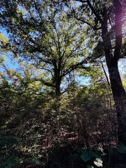 tbd Ryans Rd, Kokomo, MS 39643 photo 4