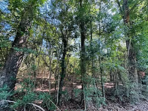tbd Ryans Rd, Kokomo, MS 39643 photo 2