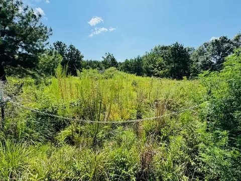 tbd Ryans Rd, Kokomo, MS 39643 photo 9