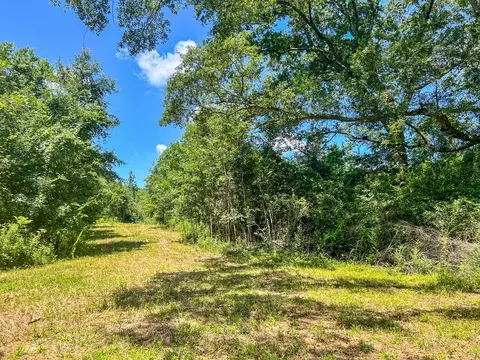 1120 Gilbert Rd, Mccomb, MS 39648 photo 22