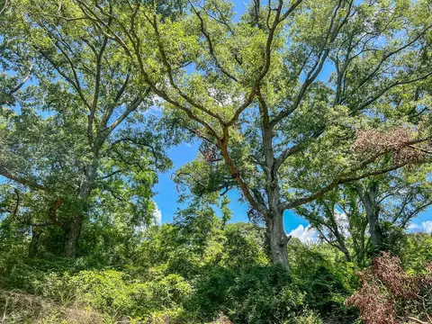 1120 Gilbert Rd, Mccomb, MS 39648 photo 23