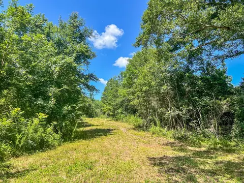 1120 Gilbert Rd, Mccomb, MS 39648 photo 24