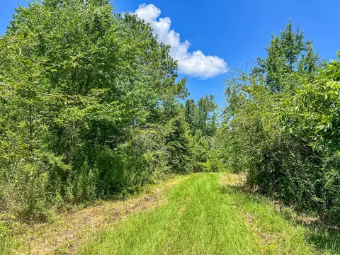 1120 Gilbert Rd, Mccomb, MS 39648 photo 26