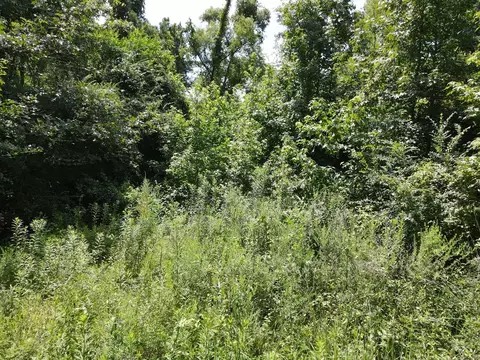 000 Hwy 84, Brookhaven, MS 39601 photo 8