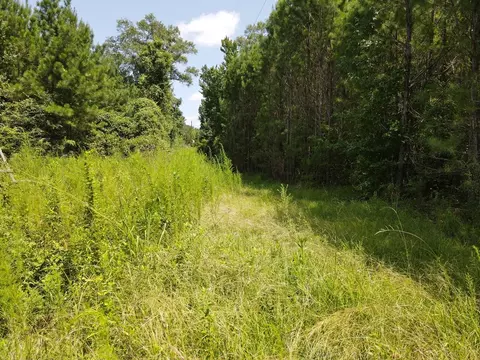 000 Hwy 84, Brookhaven, MS 39601 photo 13