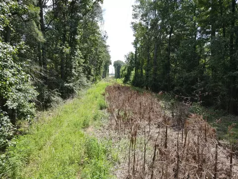 000 Hwy 84, Brookhaven, MS 39601 photo 10