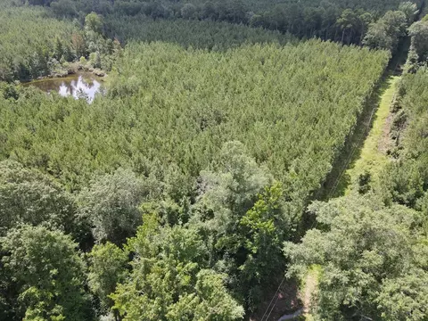 000 Hwy 84, Brookhaven, MS 39601 photo 7