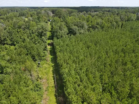 000 Hwy 84, Brookhaven, MS 39601 photo 6