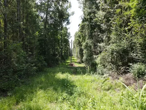 000 Hwy 84, Brookhaven, MS 39601 photo 15