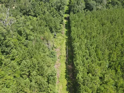000 Hwy 84, Brookhaven, MS 39601 photo 5