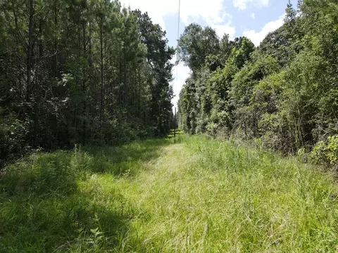 000 Hwy 84, Brookhaven, MS 39601 photo 14