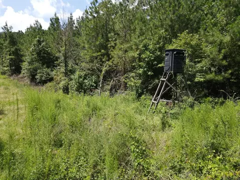 000 Hwy 84, Brookhaven, MS 39601 photo 12