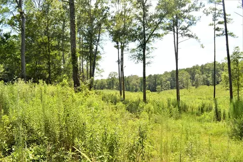 ... Biltmore Lane, Mccomb, MS 39648 photo 5
