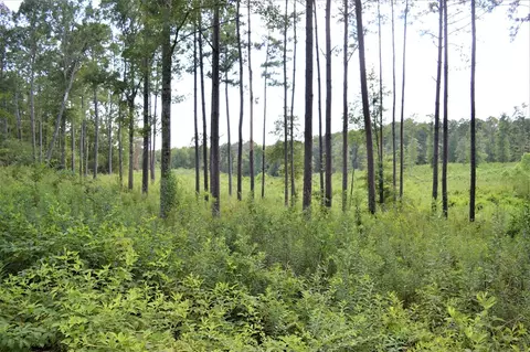 ... Biltmore Lane, Mccomb, MS 39648 photo 4