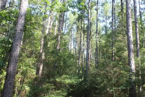 3960 E Lincoln Rd SE, Brookhaven, MS 39601 photo 11