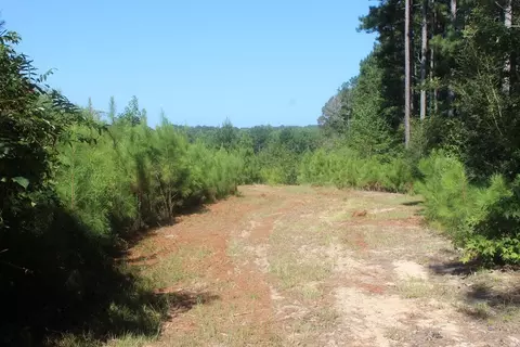 3960 E Lincoln Rd SE, Brookhaven, MS 39601 photo 8