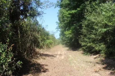 3960 E Lincoln Rd SE, Brookhaven, MS 39601 photo 6