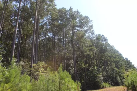 3960 E Lincoln Rd SE, Brookhaven, MS 39601 photo 10