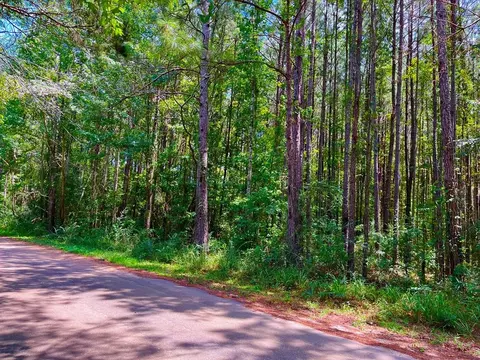 44 Stoneybrook Trl, Bogue Chitto, MS 39629