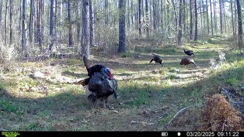 3620 Winding Rd, Liberty, MS 39645 photo 30