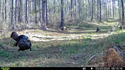 3620 Winding Rd, Liberty, MS 39645 photo 31