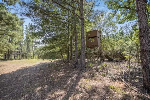 3620 Winding Rd, Liberty, MS 39645 photo 14