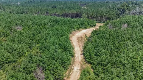 3620 Winding Rd, Liberty, MS 39645 photo 21