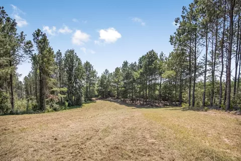 3620 Winding Rd, Liberty, MS 39645 photo 13
