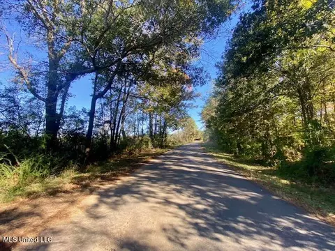 0 Robert Jones Rd, Summit, MS 39666 photo 20