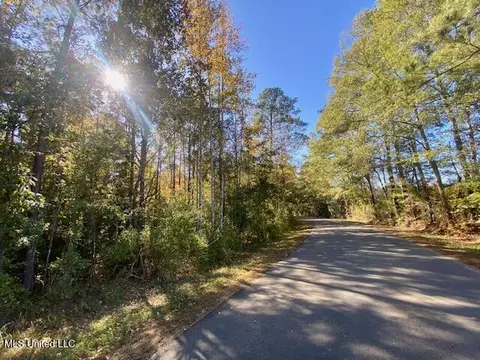 0 Robert Jones Rd, Summit, MS 39666 photo 19