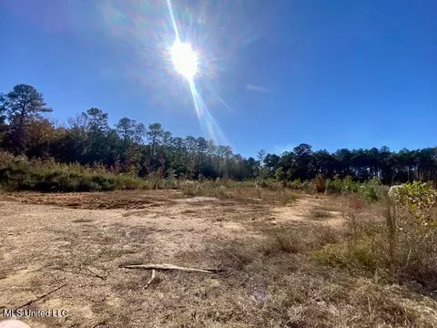 0 Robert Jones Rd, Summit, MS 39666 photo 8