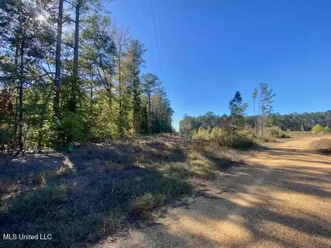 0 Robert Jones Rd, Summit, MS 39666 photo 2