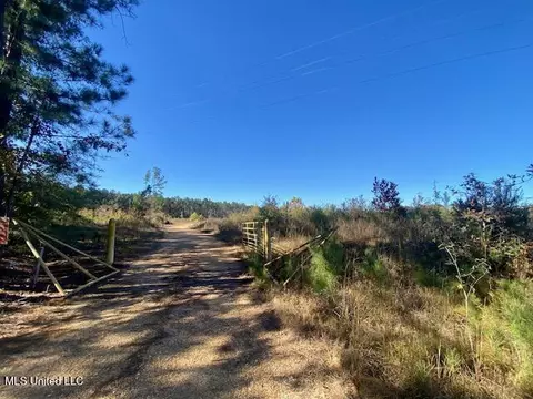 0 Robert Jones Rd, Summit, MS 39666 photo 21