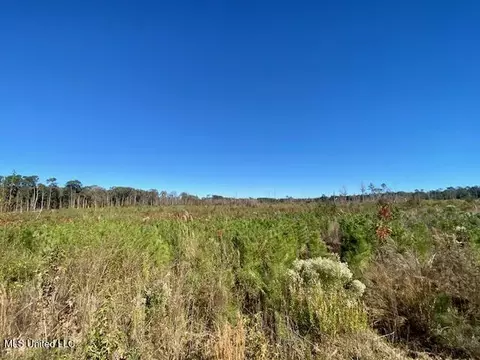 0 Robert Jones Rd, Summit, MS 39666 photo 13