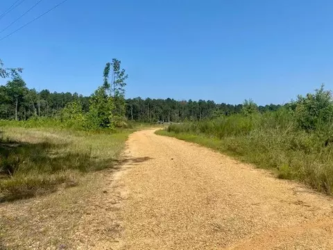 0 Robert Jones Rd, Summit, MS 39666