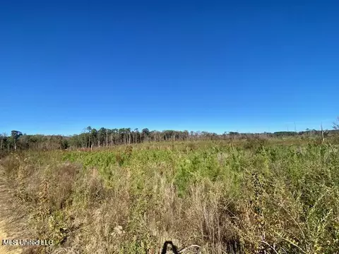 0 Robert Jones Rd, Summit, MS 39666 photo 10