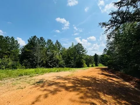 tbd Muddy Springs Rd, Magnolia, MS 39652