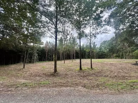 0000 Tynes Rd, Sandy Hook, MS 39478