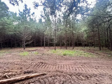 0000 Tynes Rd, Sandy Hook, MS 39478 photo 6